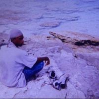 Andrew Stewart's Photo