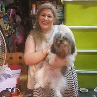 Фотографии пользователя Shabnam Safamanesh