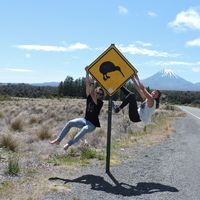 Фотографии пользователя Alfonso Cabetas Maza