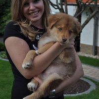 Larissa Oppermann's Photo