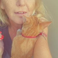 Sonny Cantero的照片