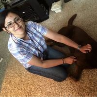 Afrah Bel Haj Ali的照片