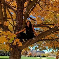 Benita Ning的照片