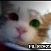 Łukasz Marczak's Photo