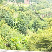 Natalia Esquivel's Photo