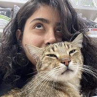 Berfin Dizmen's Photo