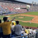 Baseball match at Jamsil Stadium's picture