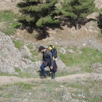 Фотографии пользователя mohammad mohabbati