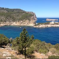 Dario Pigaiani's Photo