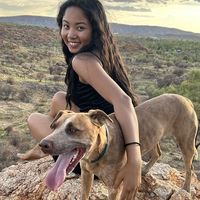 Fotos de Sakura Ebatum