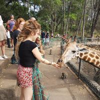 Laura Jentsch's Photo