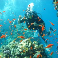 Mohammed Abu sultan的照片