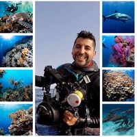 Zdjęcia użytkownika Carlos Donoso