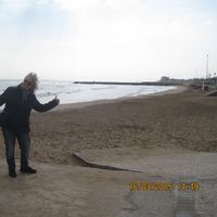 tracey brookes的照片