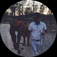 sunny houbod's Photo