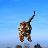 Taslima Тeunaeva's Photo