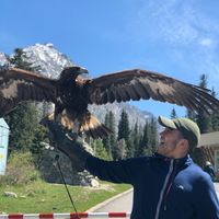 Rinat  Temirbekov's Photo