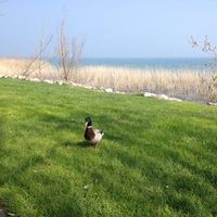 Zdjęcia użytkownika Caxa Blin