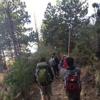 María María's Photo