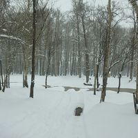 Jongsoh Ahn的照片