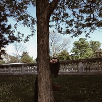 Imge Erdural的照片