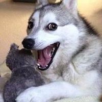 Alejandro Sosa's Photo