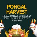 Pongal Celebration的照片