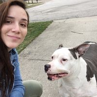 Brittany Trish的照片