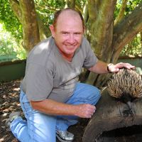 Mark Wooler的照片