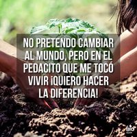 Jose Gatica的照片