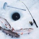 Ice Fishing 's picture
