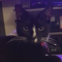 Mostafa Axmani's Photo