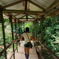 Teresa Montenegro's Photo