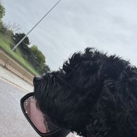 Nadja Nikolic's Photo