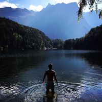 Payam Shojaei's Photo