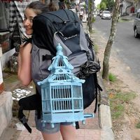 Fotos de Claire Pasquier