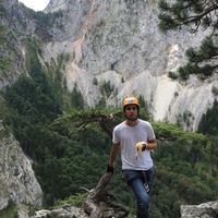 Bence Kocsis's Photo