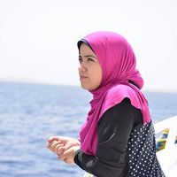 Aya Salah's Photo