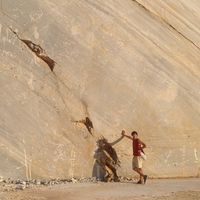 José Menezes的照片