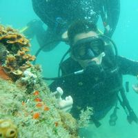 Leandro Araujo's Photo