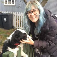 Sarah Bannister的照片