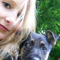 Ilse Meijerink的照片