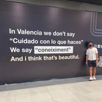 Armin Zahri的照片