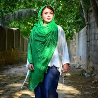 Maryam Shakiba的照片