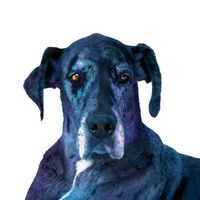 Luis Hernández Talancón's Photo