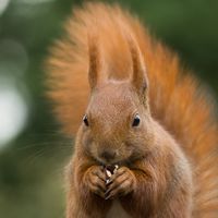 Thích Vĩnh Minh's Photo