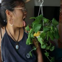 Фотографии пользователя Melyna Ph