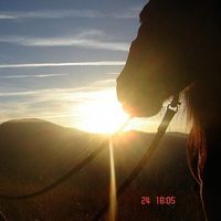 Nikolay Tenev的照片