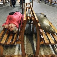 Isabelle Chang's Photo