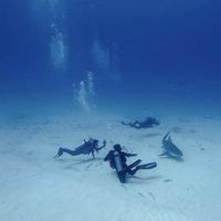 Ahmet Atlas的照片